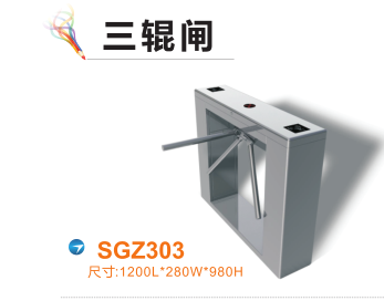 沧州渤海新区三辊闸四号